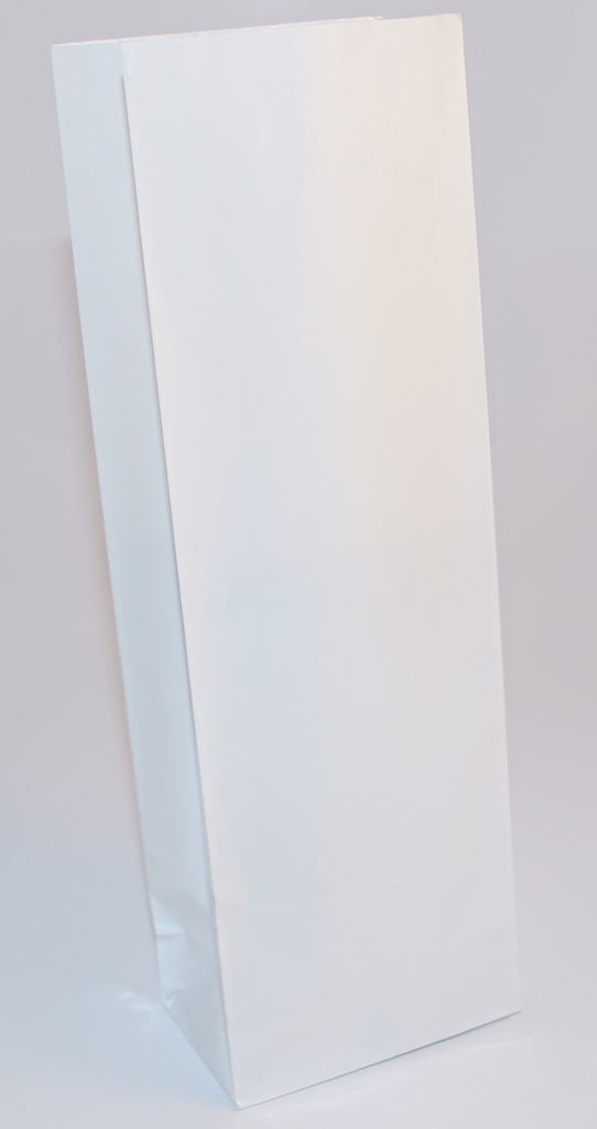 250g White glossy bag 2-layer