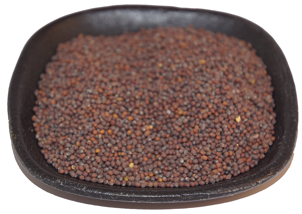 Senapsfrö hel brun lösvikt 1kg