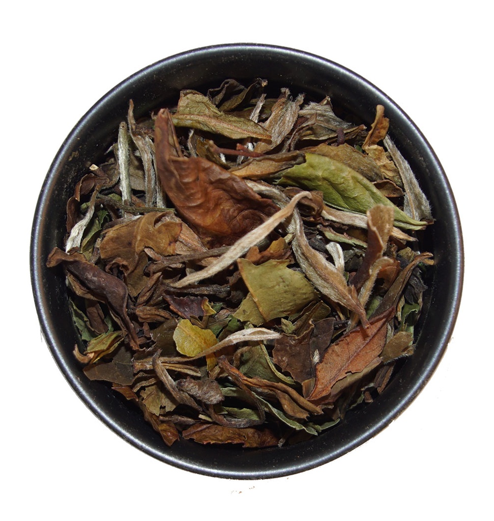 Pai Mu Tan White tea ORGANIC China bulk 1kg